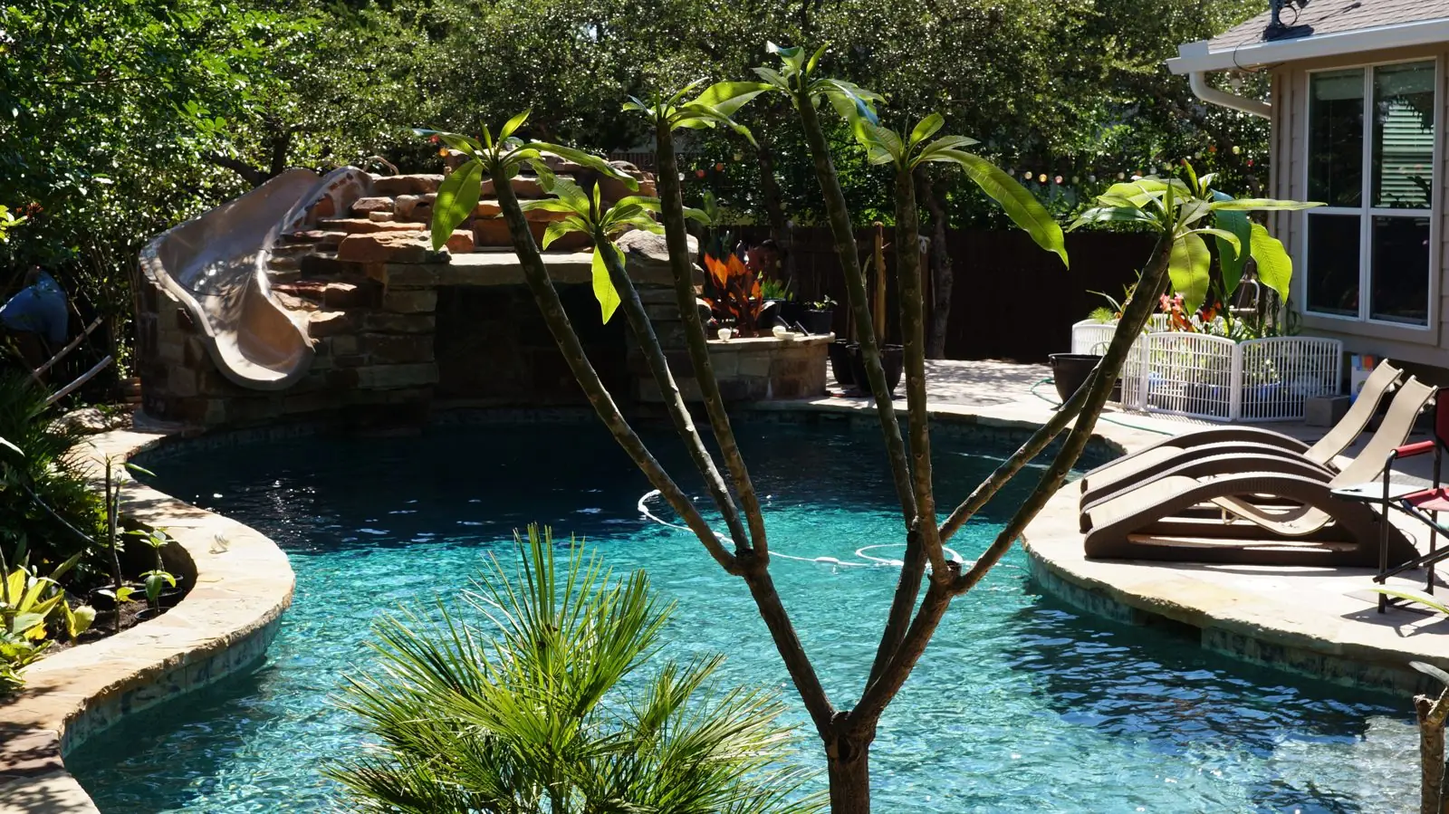 Lagoon-style pool with rock slide and palms